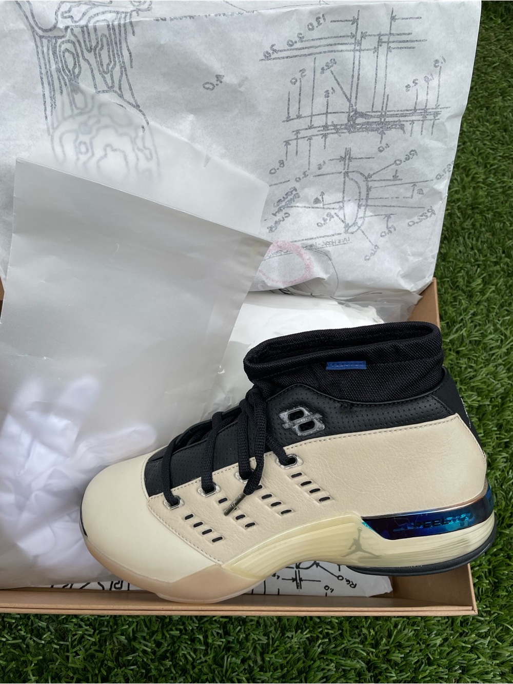 Jordan 17